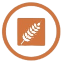 gluten
